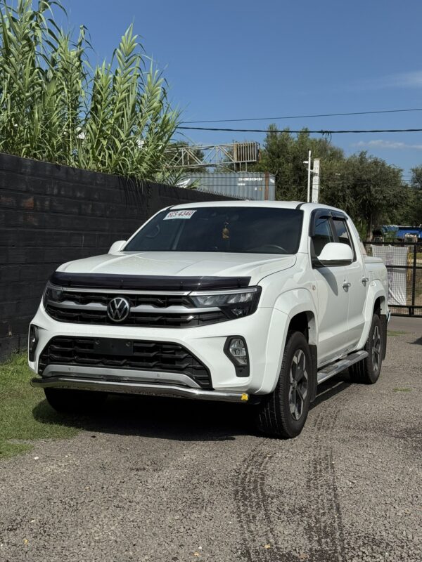 Defensa talampaya Ac.Inox. Bracco 2024+