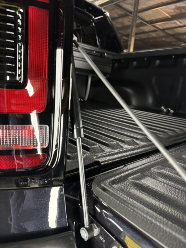 Amortiguador de portón Kraken